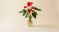 Anthurium