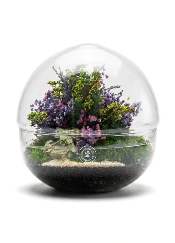 Biosfera M