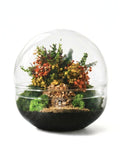 Biosfera M