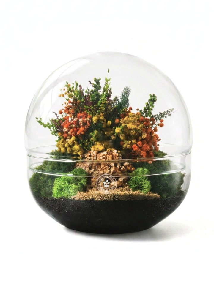 Biosfera M