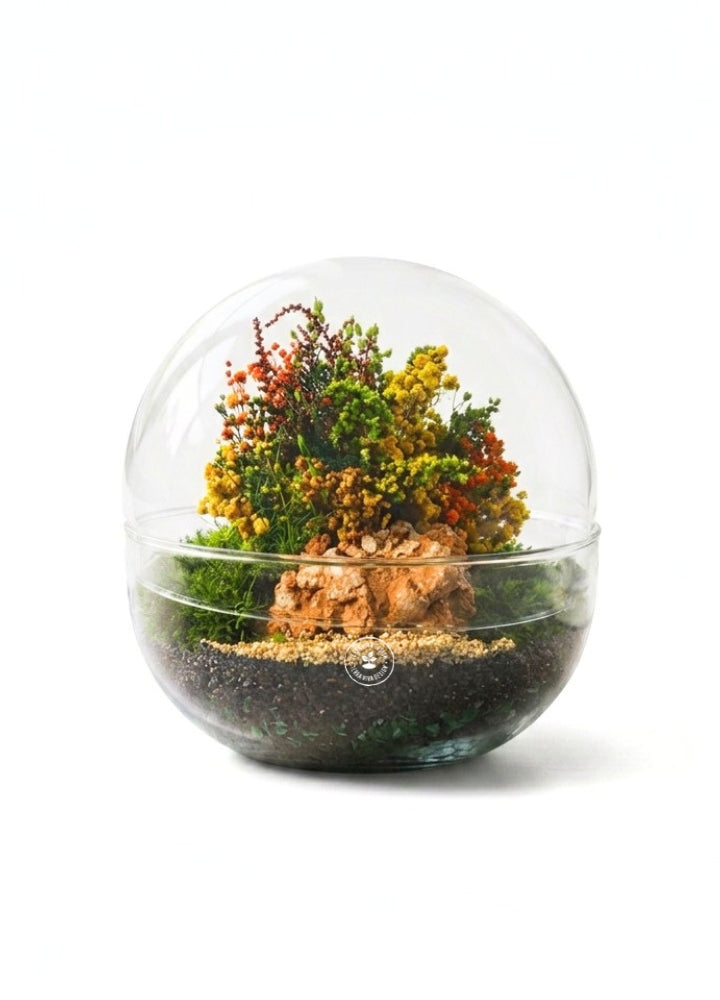 Biosfera S