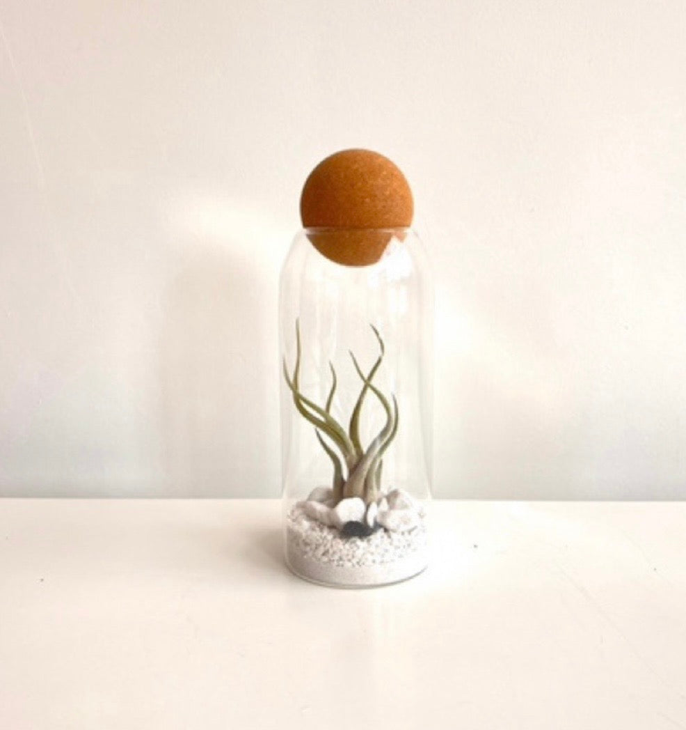 Gaia 001