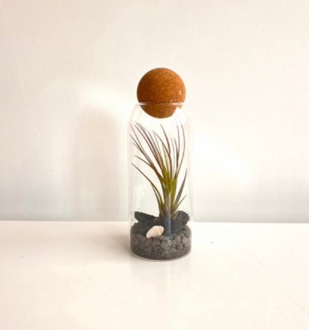 Gaia 002