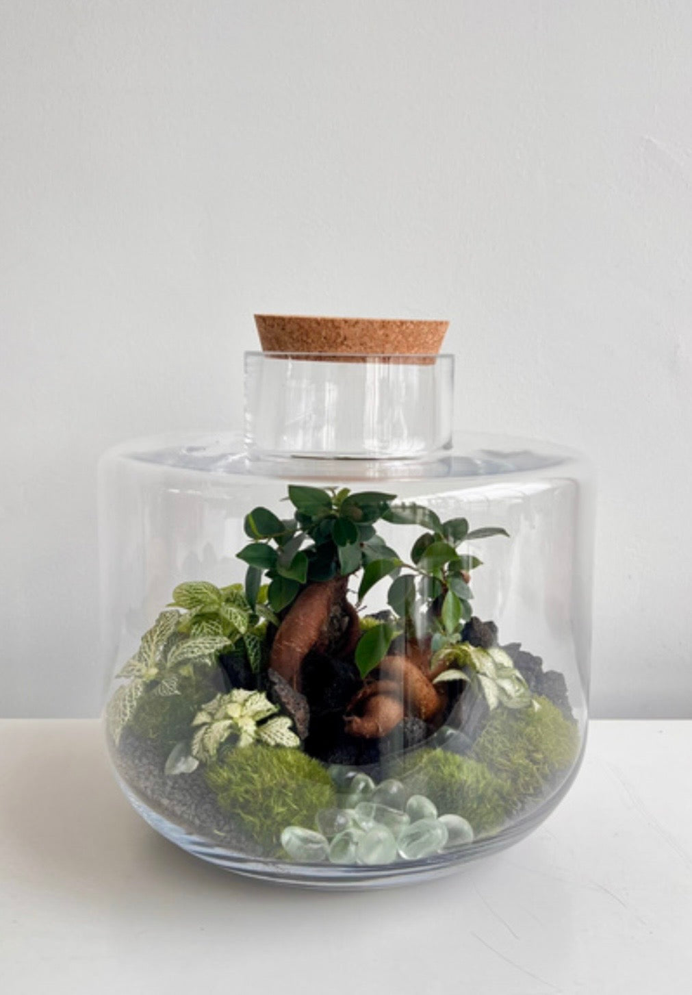 Natura 001