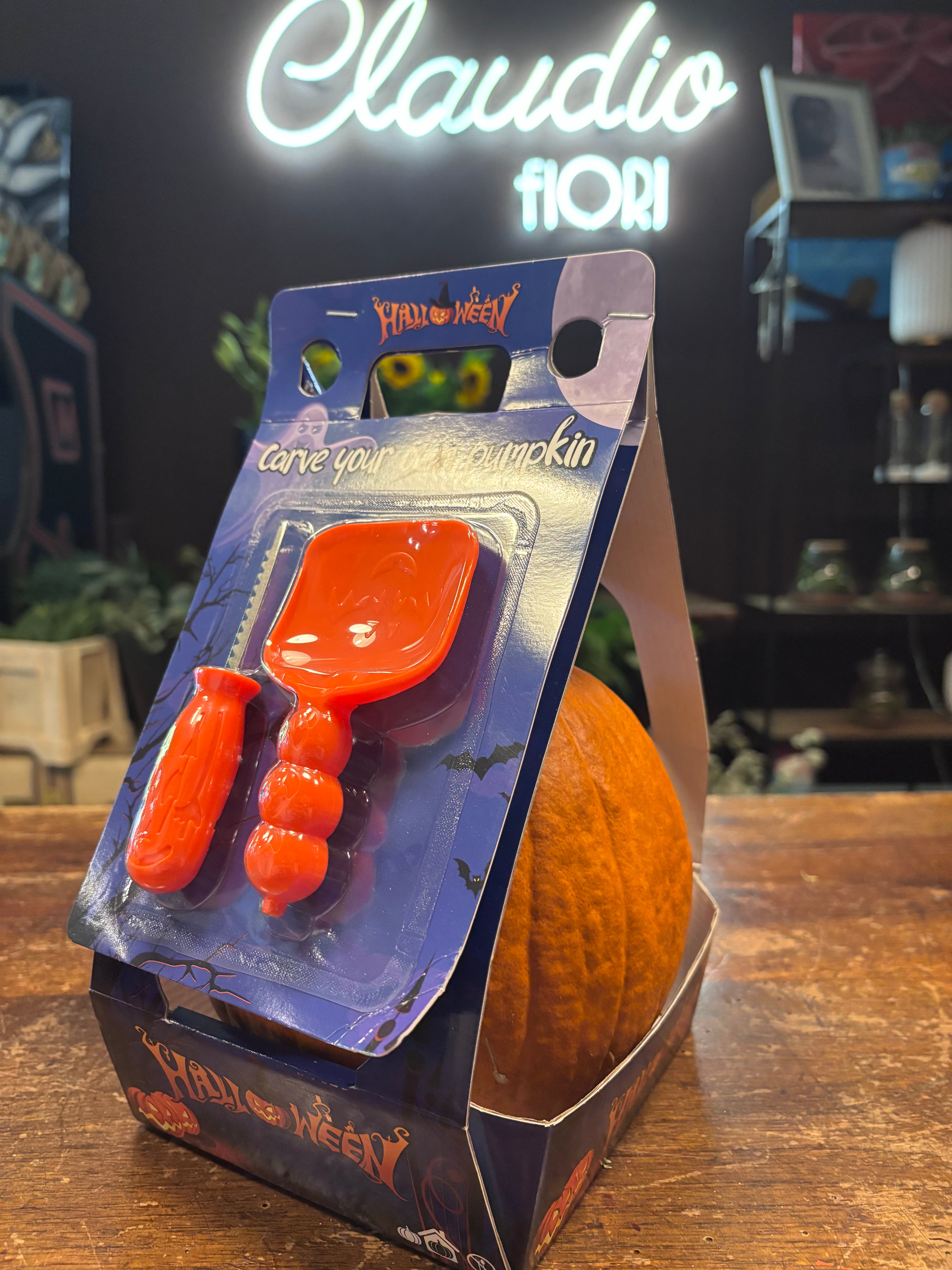 Kit Zucca Piccolo