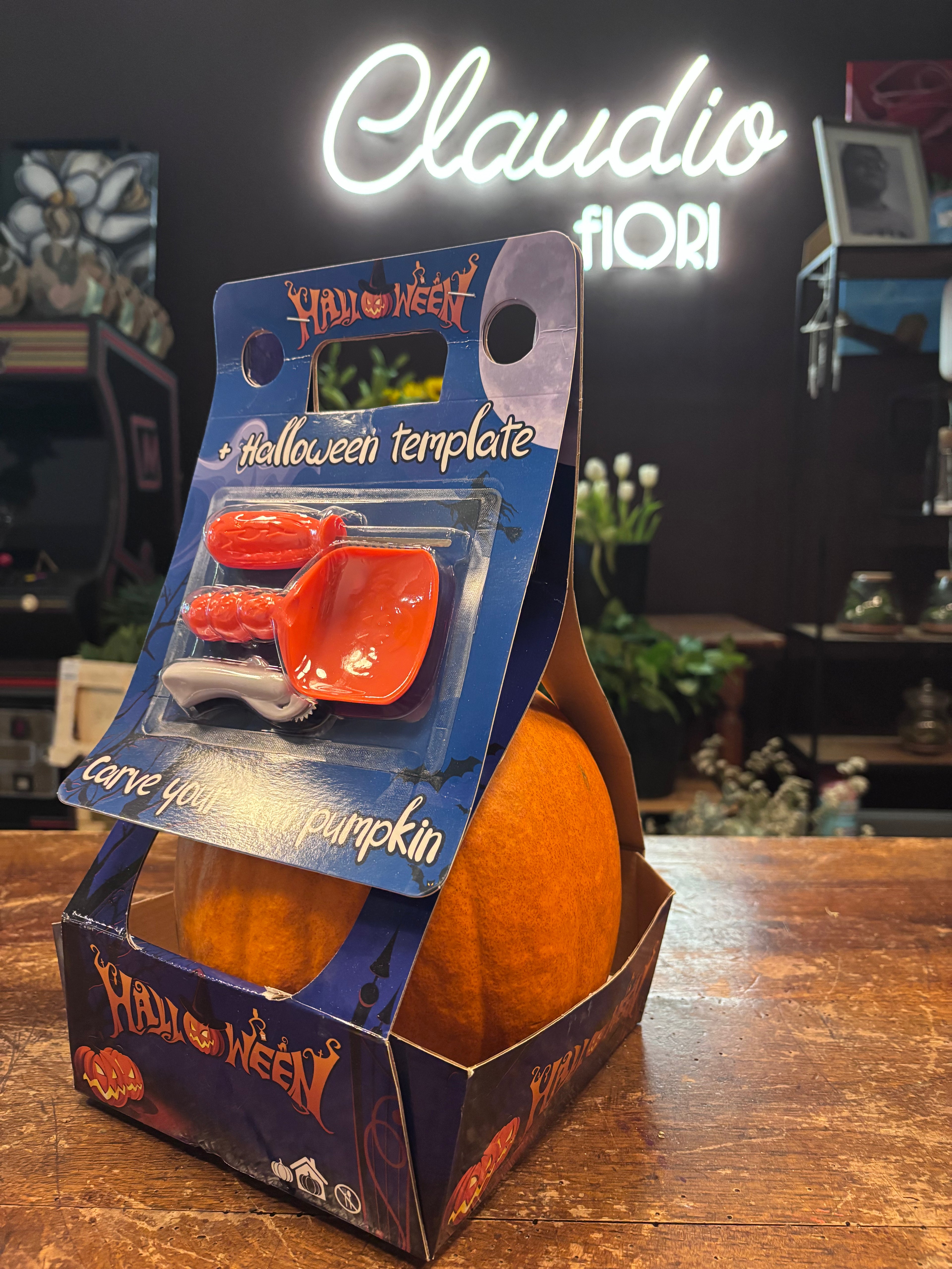 Kit Zucca Grande